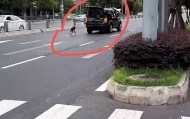 成都街头有人边开车边“遛狗” 拍摄者：事发主干道，担心带来交通隐患