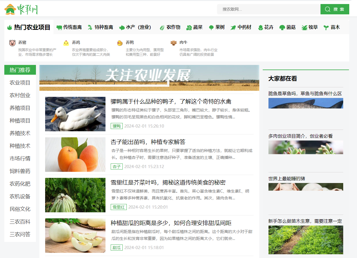 玉米价格跌势告终？农敢网玉米行情走势分析