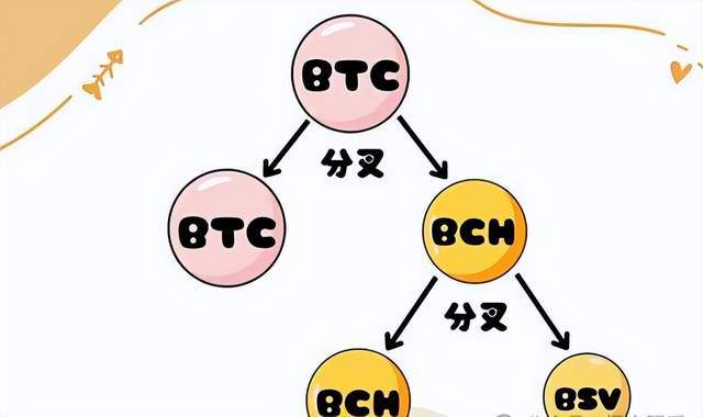 BTC、BCH和BSV 之间的差别比较
