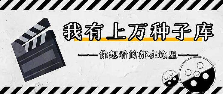 资源整合，上万种子库！NAS搭建磁力搜索网站程序——Bitmagnet-Next-Web