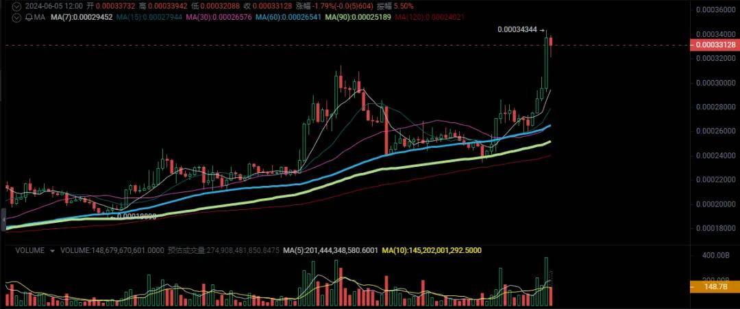 BNB创下历史新高！为何Chain上Meme币最多者将是Floki？市场深度解析！