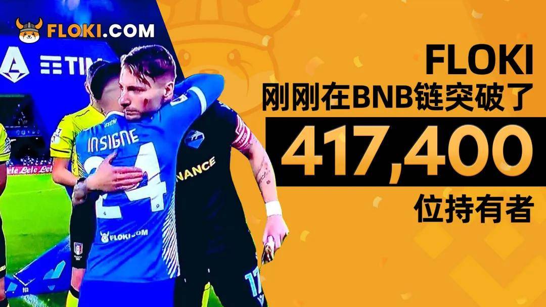 BNB创下历史新高！为何Chain上Meme币最多者将是Floki？市场深度解析！