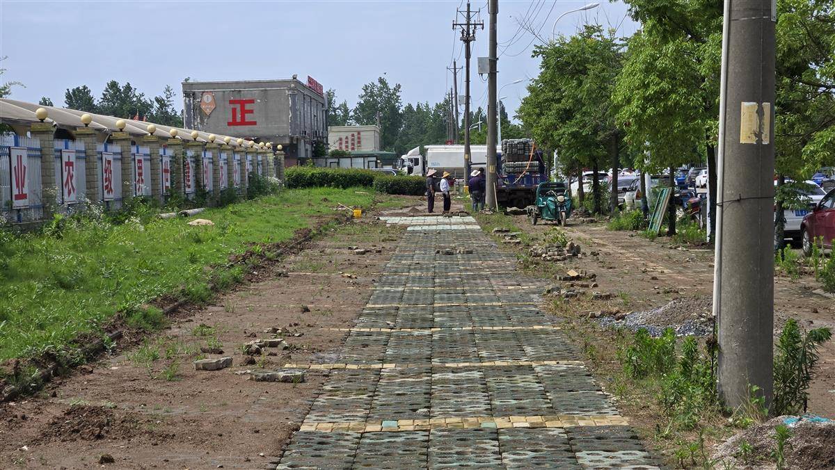 极目帮办|农田被倾倒渣土，砖石遍地无法耕种，渣土清运人：近期会将砖石清理干净