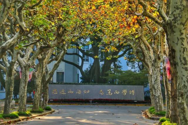 复旦大学FMBA丨陆文怡：文科生跨界闯荡金融圈，固收高级交易员在复旦焕新成长