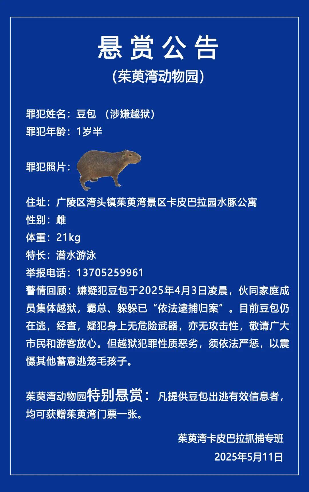 “嫌疑犯”一岁半！出逃长达40天，江苏动物园发布悬赏公告