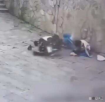 湖南两高中生骑电动车撞围墙身亡，两人均未佩戴安全头盔 家属称系改装车，最高时速100公里